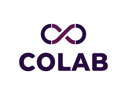 Colab Platforms Appoints Hemant Kumar to Board; Names New Auditors