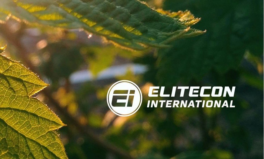 Anjali Bamboria Steps Down as Independent Director of Elitecon International