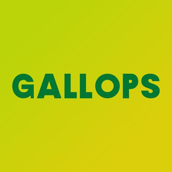 Gallops Enterprise Limited Appoints Riken Bhanuprasad Patel to Board of Directors