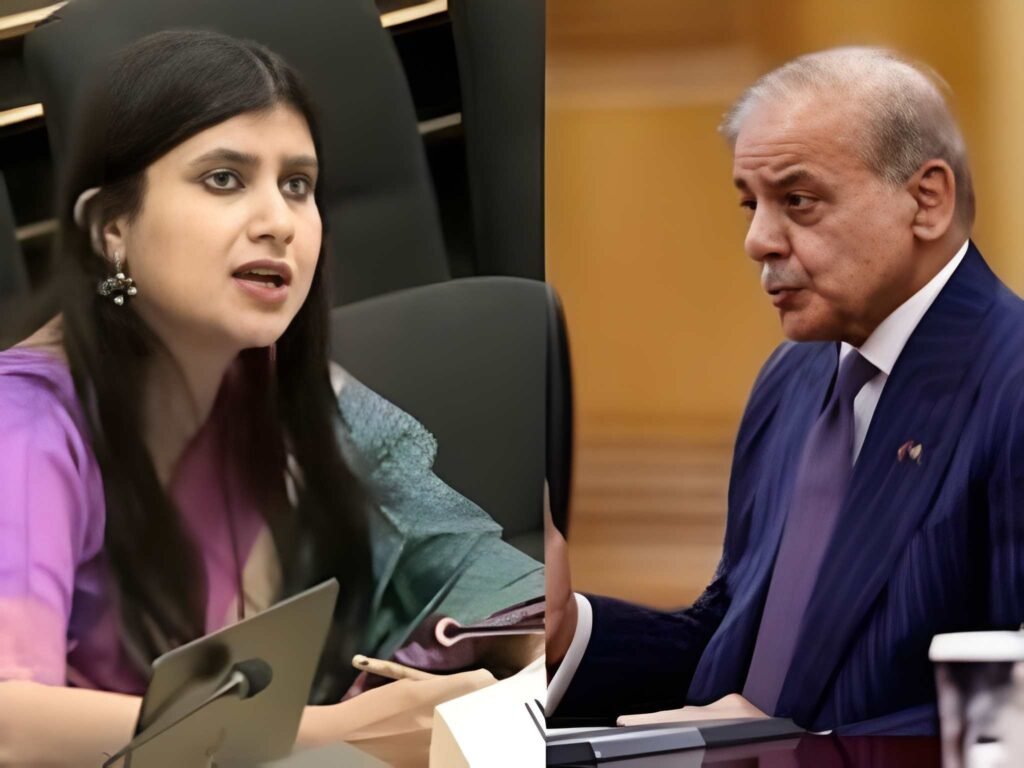 India Lambastes Pakistan at UN as a ‘Frankenstein State’ Over Cross-Border Terror